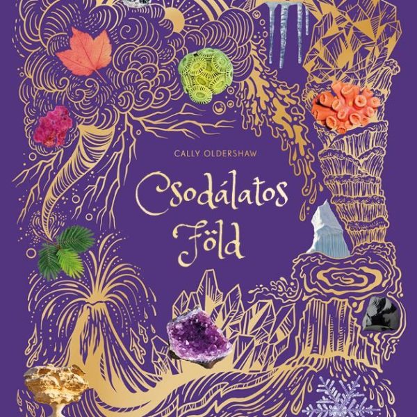 CSODÁLATOS FÖLD - ÉLFESTETT