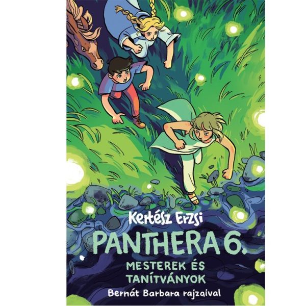 PANTHERA 6. - MESTEREK ÉS TANÍTVÁNYOK