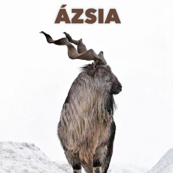 ÁZSIA - A VILÁG VADÁSZHATÓ VADFAJAI