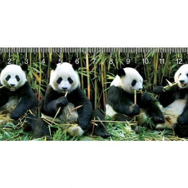 DEEP PANDAS