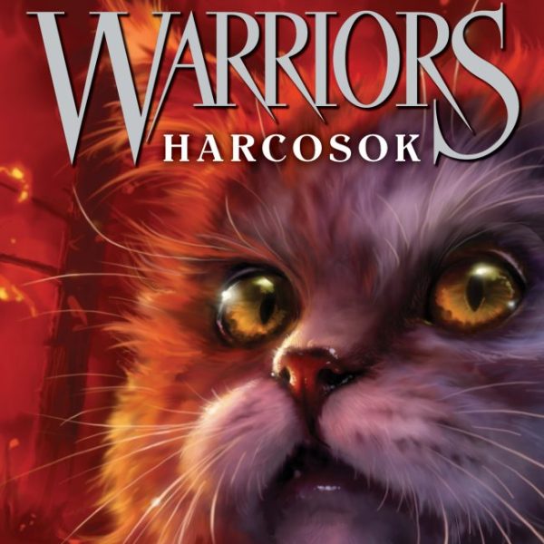 WARRIORS - HARCOSOK 1.4. - TÁMAD A VIHAR