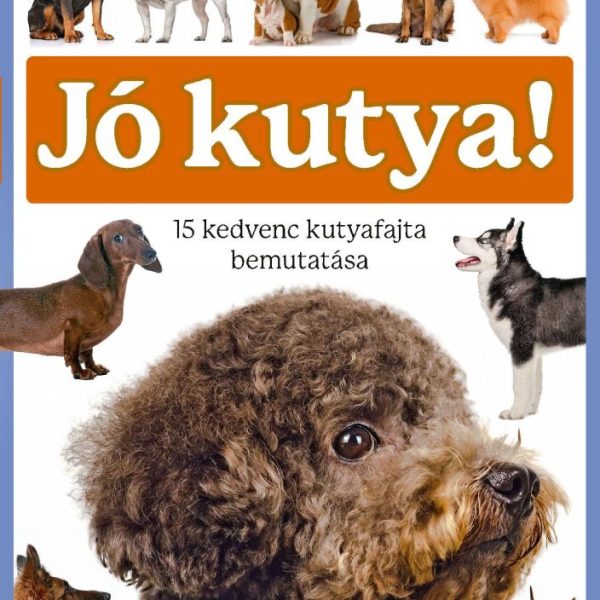 JÓ KUTYA - 15 KEDVENC KUTYAFAJTA BEMUTATÁSA