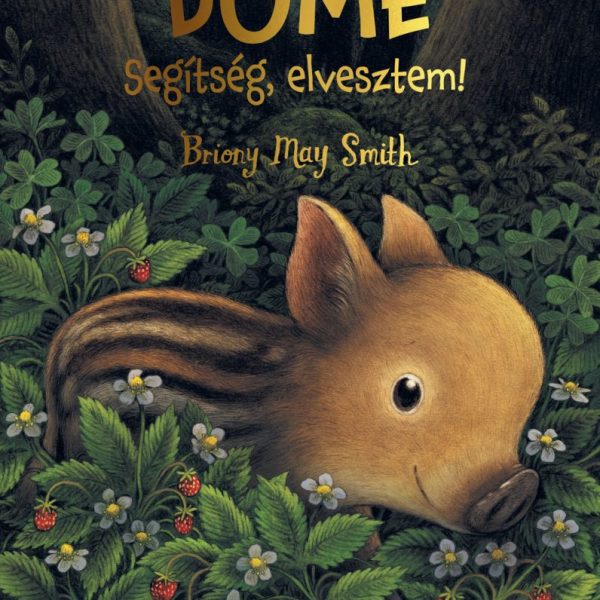 DÖME - SEGÍTSÉG, ELVESZTEM!