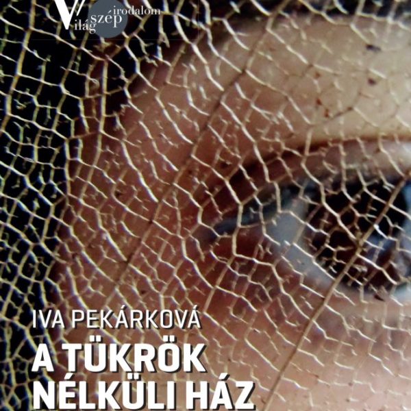 A TÜKRÖK NÉLKÜLI HÁZ