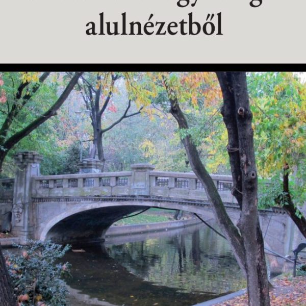 BUKARESTI MAGYARSÁG - ALULNÉZETBŐL
