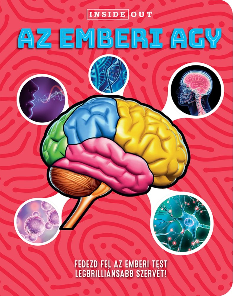 AZ EMBERI AGY - FEDEZD FEL AZ EMBERI TEST LEGBRILLIÁNSABB SZERVÉT!