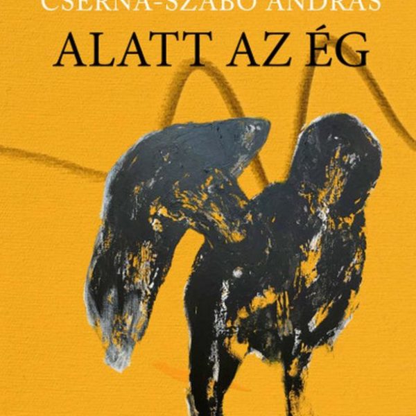KOLOZSVÁR ALATT AZ ÉG