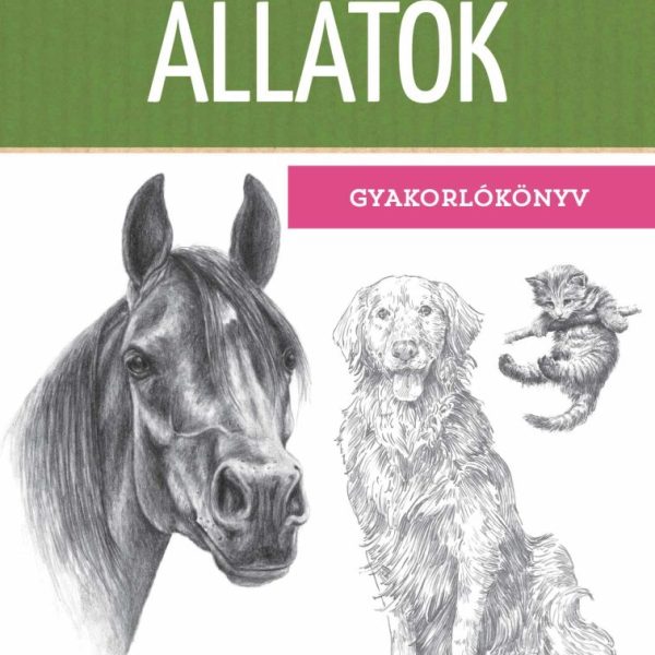 NAGY RAJZISKOLA MINDENKINEK - ÁLLATOK (GYAKORLÓKÖNYV)