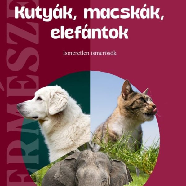 KUTYÁK, MACSKÁK, ELEFÁNTOK - ISMERETLEN ISMERŐSÖK ( TERMÉSZET)