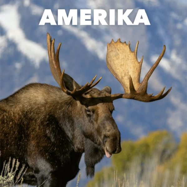 AMERIKA - A VILÁG VADÁSZHATÓ VADFAJAI 4.