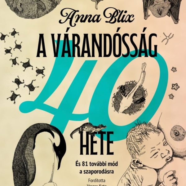 A VÁRANDÓSSÁG 40 HETE - ÉS TOVÁBBI MÓD A SZAPORODÁSRA