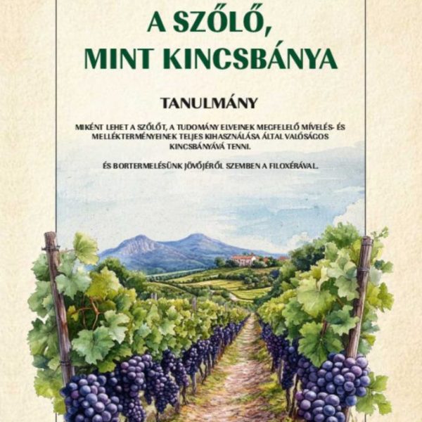 A SZŐLŐ, MINT KINCSBÁNYA - TANULMÁNY