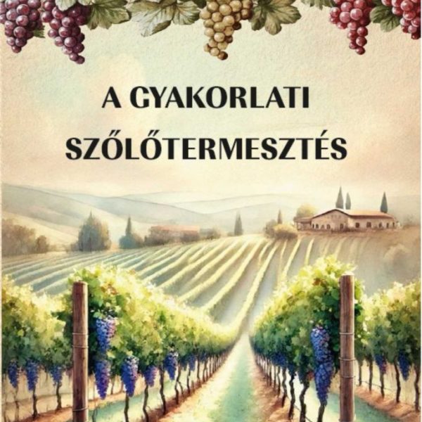A GYAKORLATI SZŐLŐTERMESZTÉS