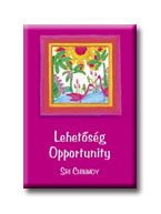 LEHETŐSÉG - OPPORTUNITY