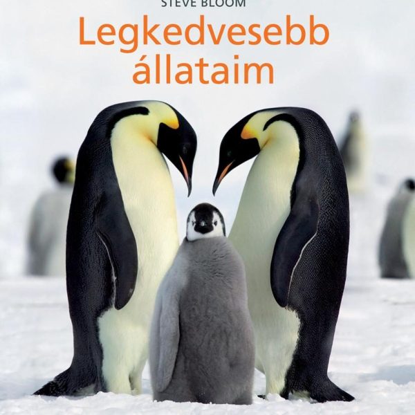 LEGKEDVESEBB ÁLLATAIM -