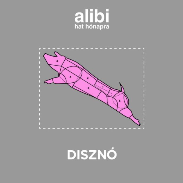 ALIBI HAT HÓNAPRA 11. - DISZNÓ