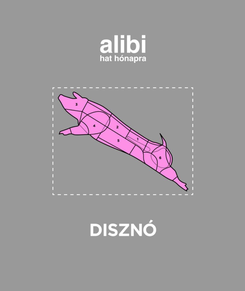 ALIBI HAT HÓNAPRA 11. - DISZNÓ