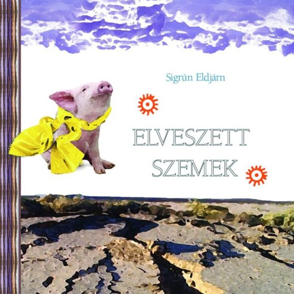 ELVESZETT SZEMEK