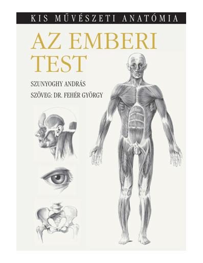 AZ EMBERI TEST - KIS MŰVÉSZETI ANATÓMIA - FŰZÖTT