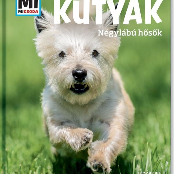 KUTYÁK - NÉGYLÁBÚ HŐSÖK - MI MICSODA