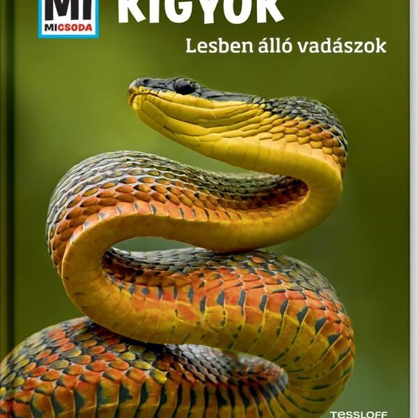 KÍGYÓK - LESBEN ÁLLÓ VADÁSZOK - MI MICSODA