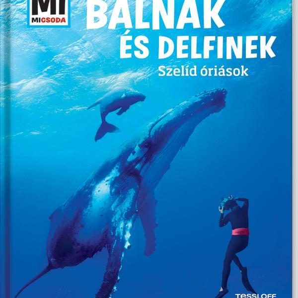 BÁLNÁK ÉS DELFINEK - SZELÍD ÓRIÁSOK - MI MICSODA