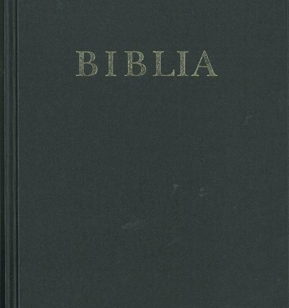 BIBLIA (REVIDEÁLT ÚJ FORDÍTÁS, NAGY CSALÁDI)