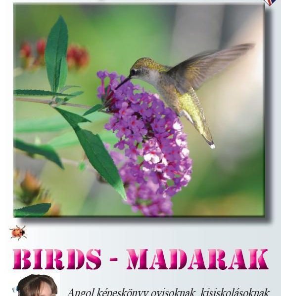 BIRDS - MADARAK - KIDS' ENGLISH WITH KIRA