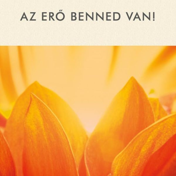 AZ ERŐ BENNED VAN! - 3. JAVÍTOTT KIADÁS!