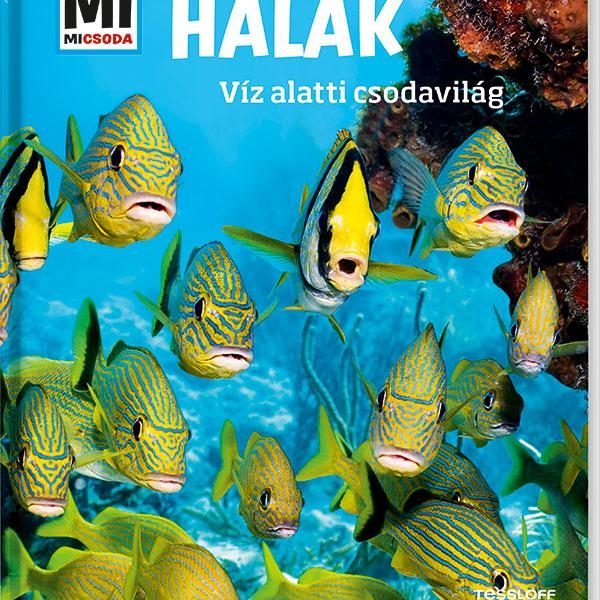 HALAK - VÍZ ALATTI CSODAVILÁG - MI MICSODA