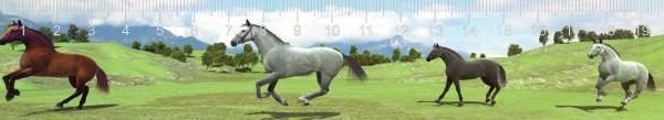 FUTÓ LOVAK 3D HATÁSÚ VONALZÓ 210 X 35 MM A