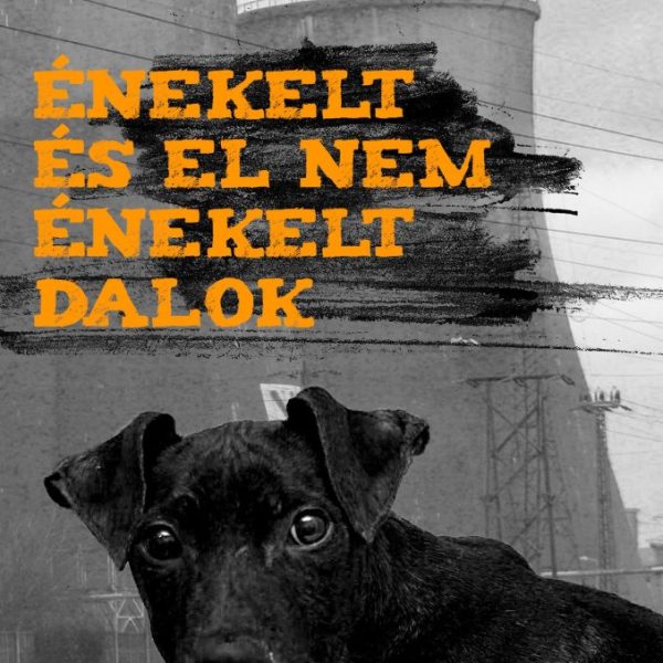 ÉNEKELT ÉS EL NEM ÉNEKELT DALOK