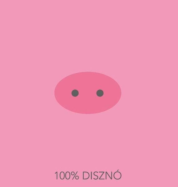 100% DISZNÓ (SZAKÁCSKÖNYV)