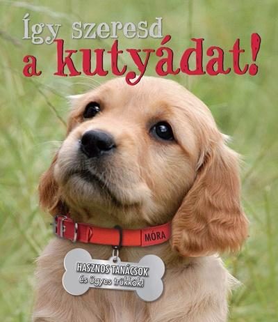 ÍGY SZERESD A KUTYÁDAT! - HASZNOS TANÁCSOK ÉS ÜGYES TRÜKKÖK!