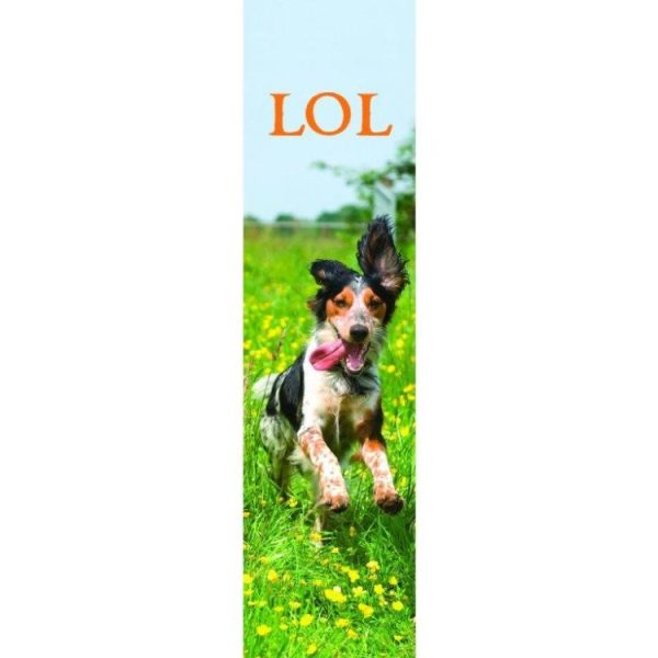 LOL BOOKMARK