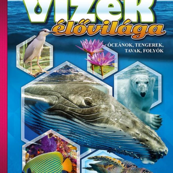 VIZEK ÉLŐVILÁGA - ÓCEÁNOK, TENGEREK, TAVAK, FOLYÓK - FEDEZZÜK FEL EGYÜTT!