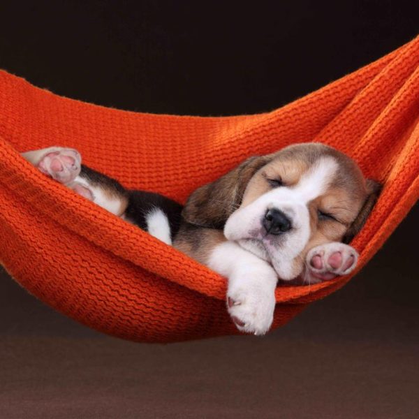 GOOD SLEEPER 3D KÉPESLAP