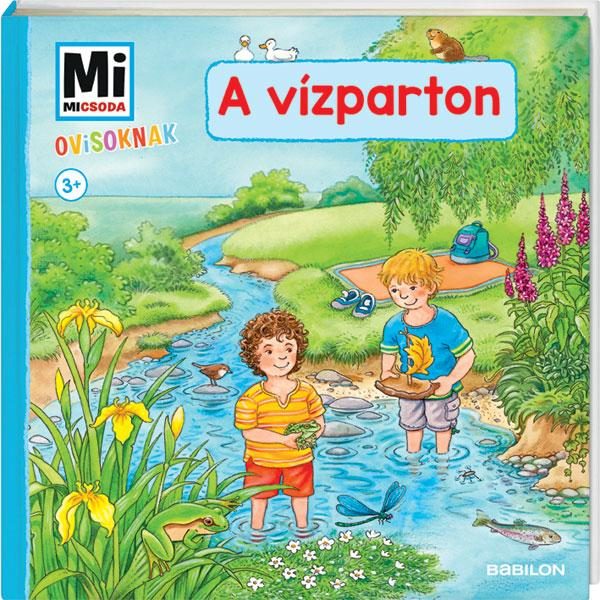 A VÍZPARTON - MI MICSODA OVISOKNAK