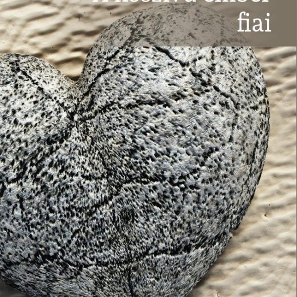 A KŐSZÍVŰ EMBER FIAI - OSIRIS DIÁKKÖNYVTÁR
