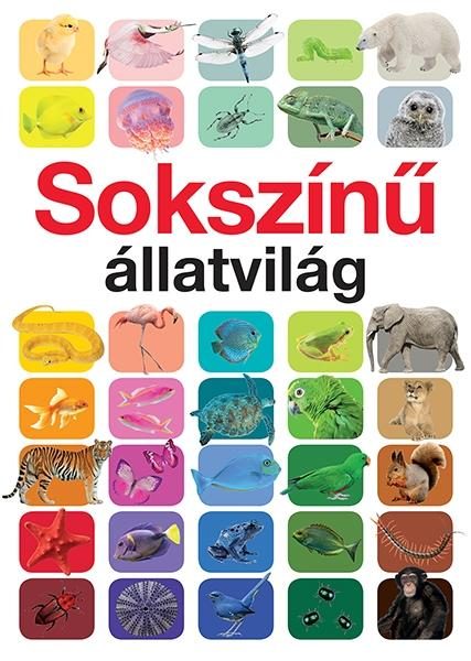 SOKSZÍNŰ ÁLLATVILÁG