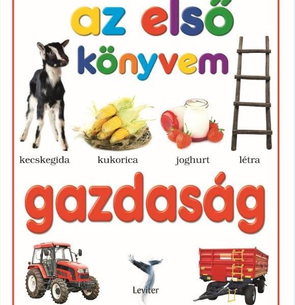 GAZDASÁG - AZ ELSŐ KÖNYVEM