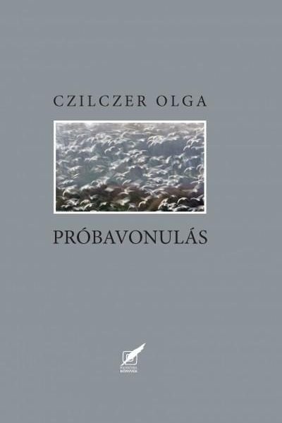 PRÓBAVONULÁS