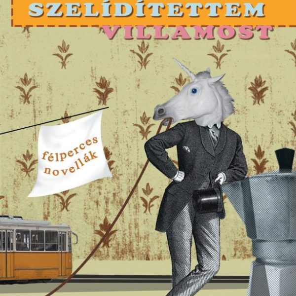 HOGYAN SZELÍDÍTETTEM VILLAMOST