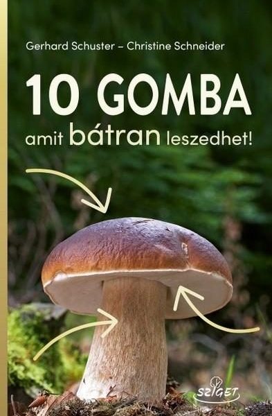 10 GOMBA AMIT BÁTRAN LESZEDHET!