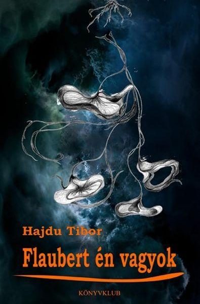 FLAUBERT ÉN VAGYOK