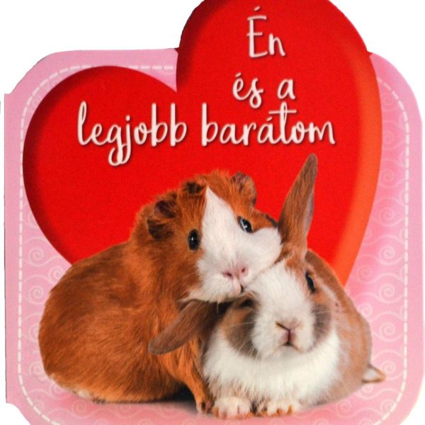 ÉN ÉS A LEGJOBB BARÁTOM