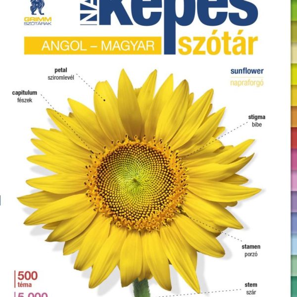 ANGOL-MAGYAR NAGY KÉPES SZÓTÁR
