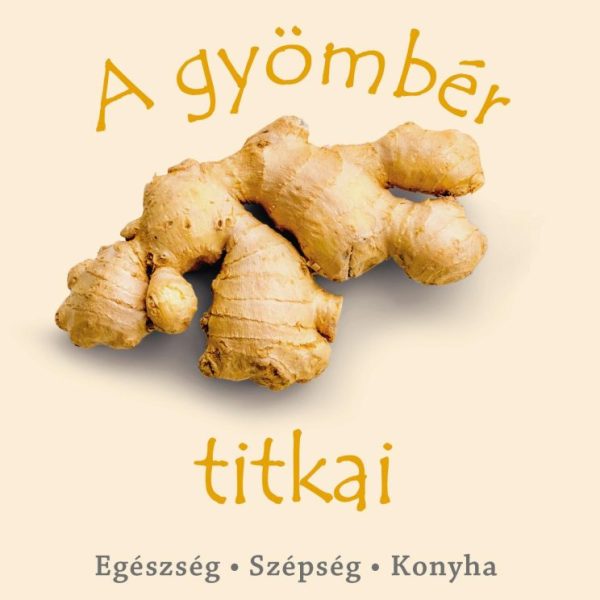 A GYÖMBÉR TITKAI