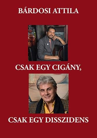 CSAK EGY CIGÁNY, CSAK EGY DISSZIDENS