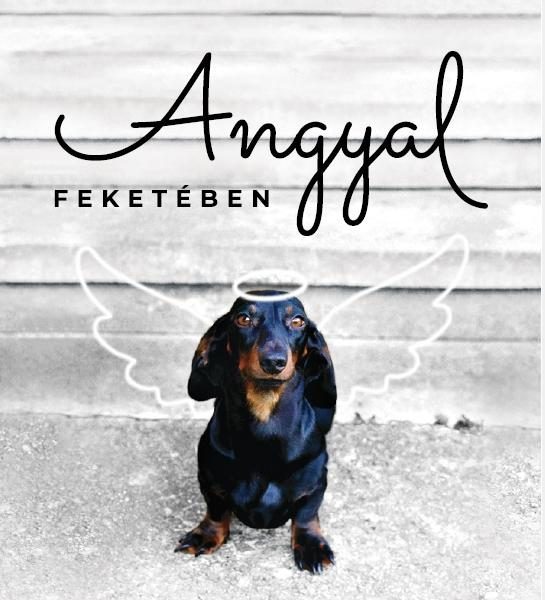 ANGYAL FEKETÉBEN